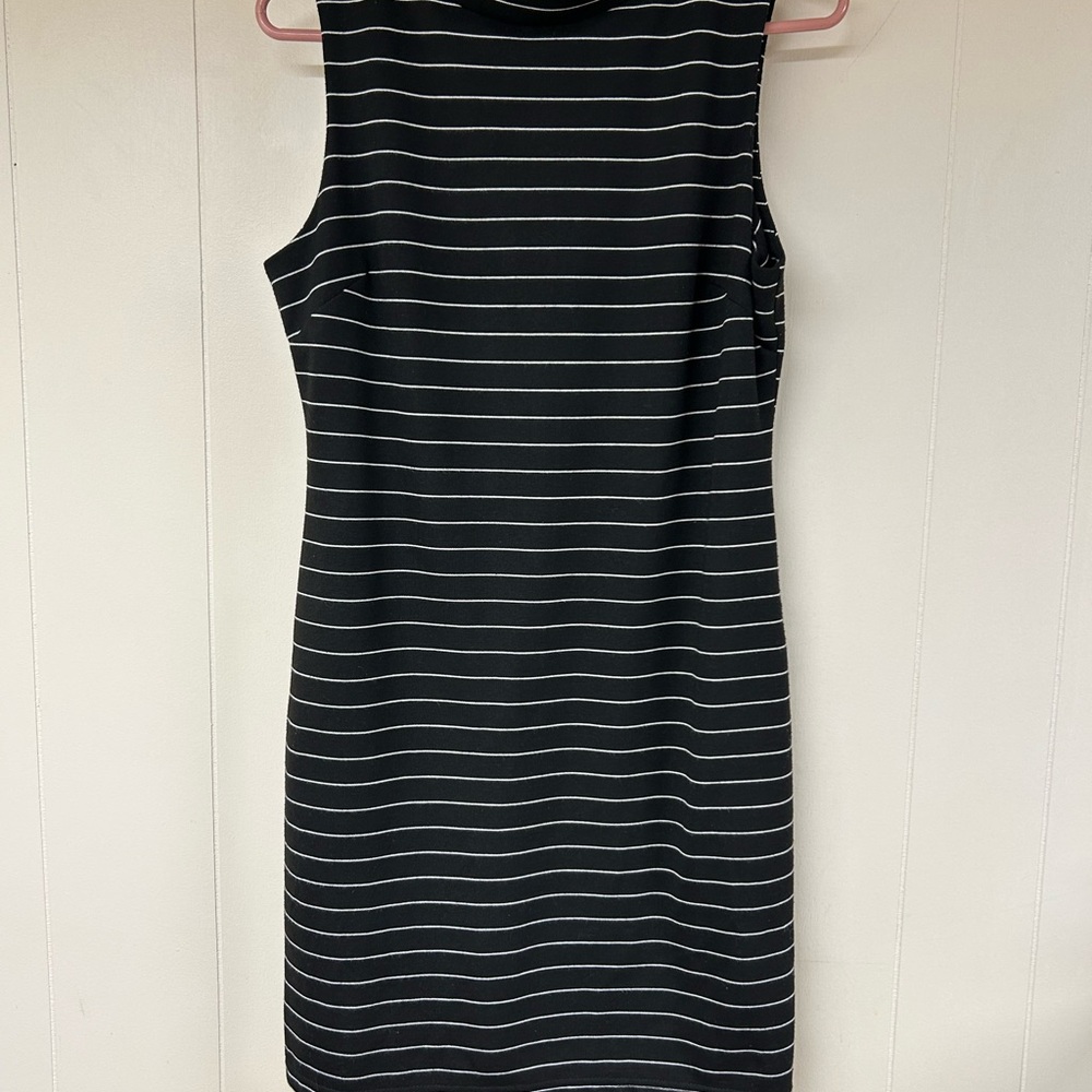 Elegant Black and White striped anthropology Striped Dress SZ  6